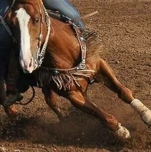 Meet your Posher, Cathy